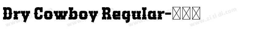 Dry Cowboy Regular字体转换